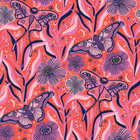 Reusable Dish Cover - Hibiscus Moths