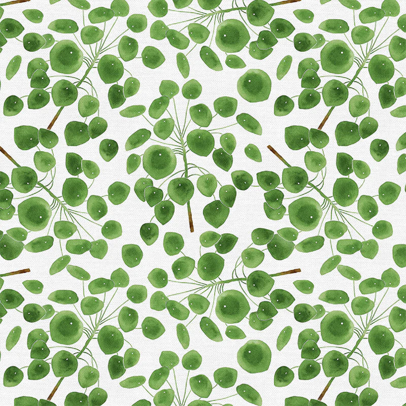 Reusable Dish Cover - Pilea