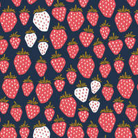Reusable Dish Covers - Navy Strawberries