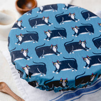 Reusable Dish Cover - Fat Cats in Blue