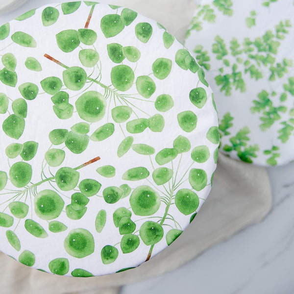 Reusable Dish Cover - Pilea