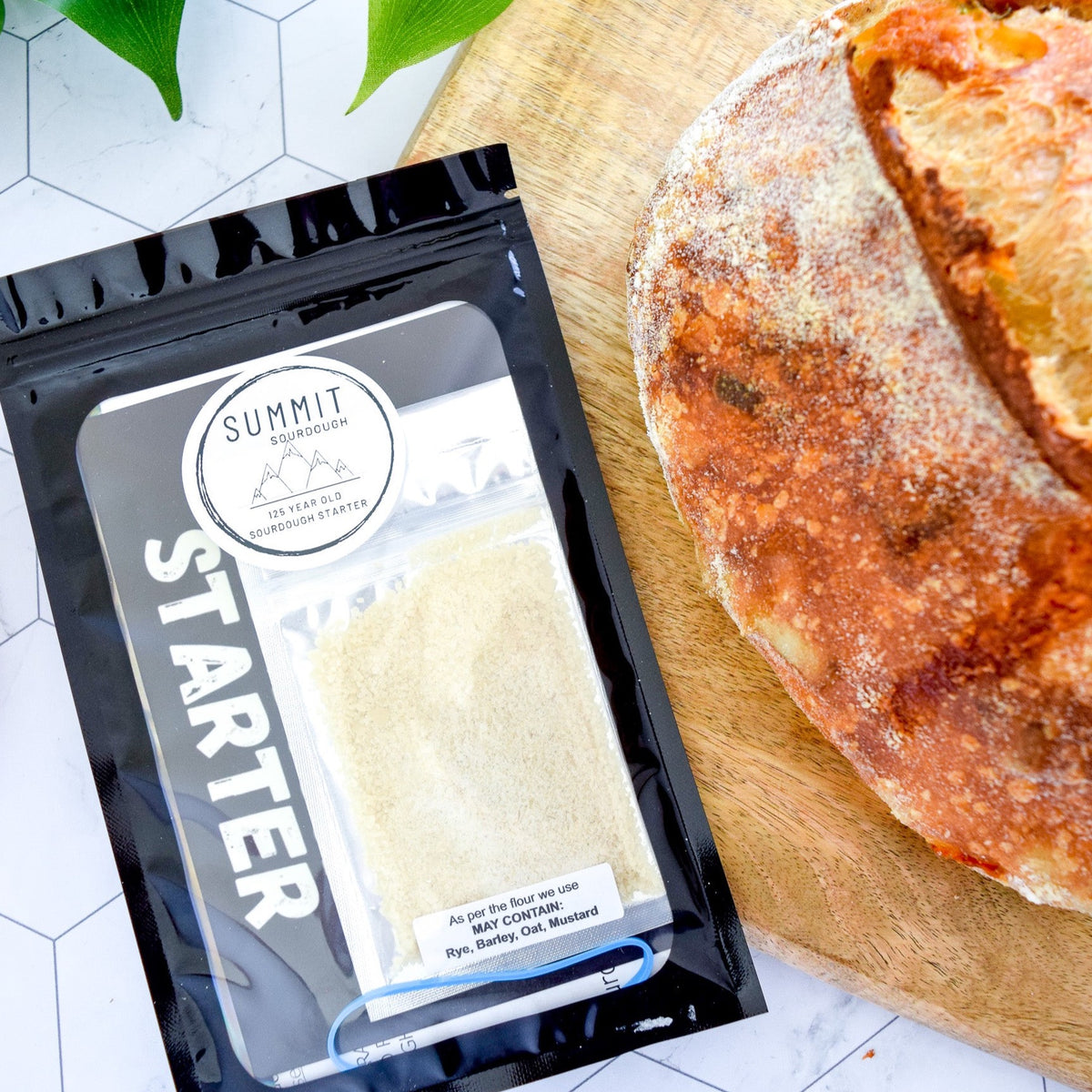 Summit Sourdough Dehydrated Starter Packet